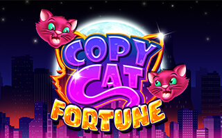 copy-cat-fortune